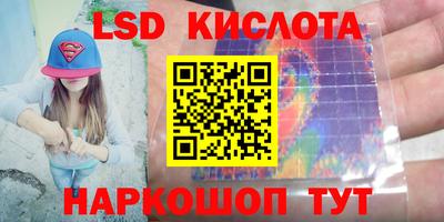 стаф Будённовск
