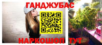 стаф Будённовск